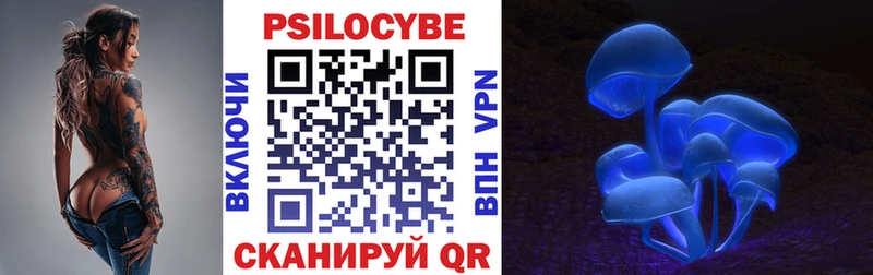 как найти наркотики  Прокопьевск  Псилоцибиновые грибы мицелий 