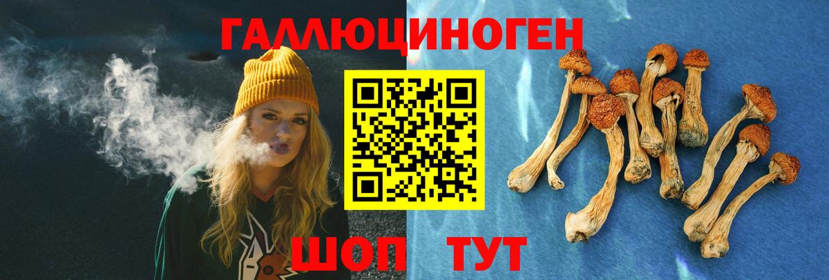 Прокопьевск  Галлюциногенные грибы MAGIC MUSHROOMS  наркота  Вход с VPN 