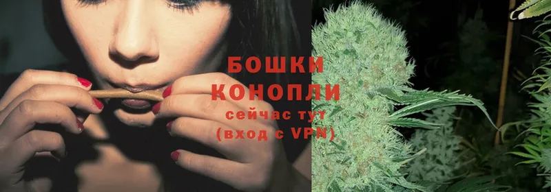 Марихуана SATIVA & INDICA  где найти наркотики  Прокопьевск 