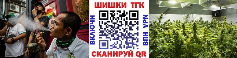 Конопля гибрид  Прокопьевск 